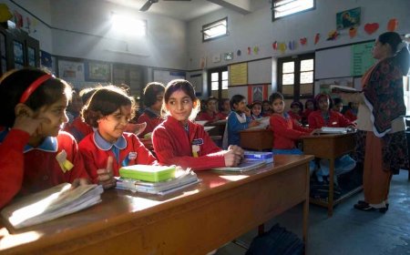 Understanding the Classification of High School in Pakistan