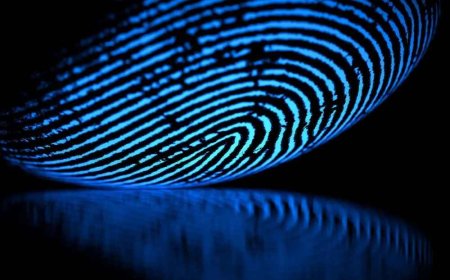 Unveiling the Risks and Dangers of Biometrics