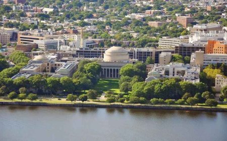 Top Colleges for Earning a Bachelor Degree in AI