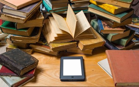 Can we replace libraries with Internet?