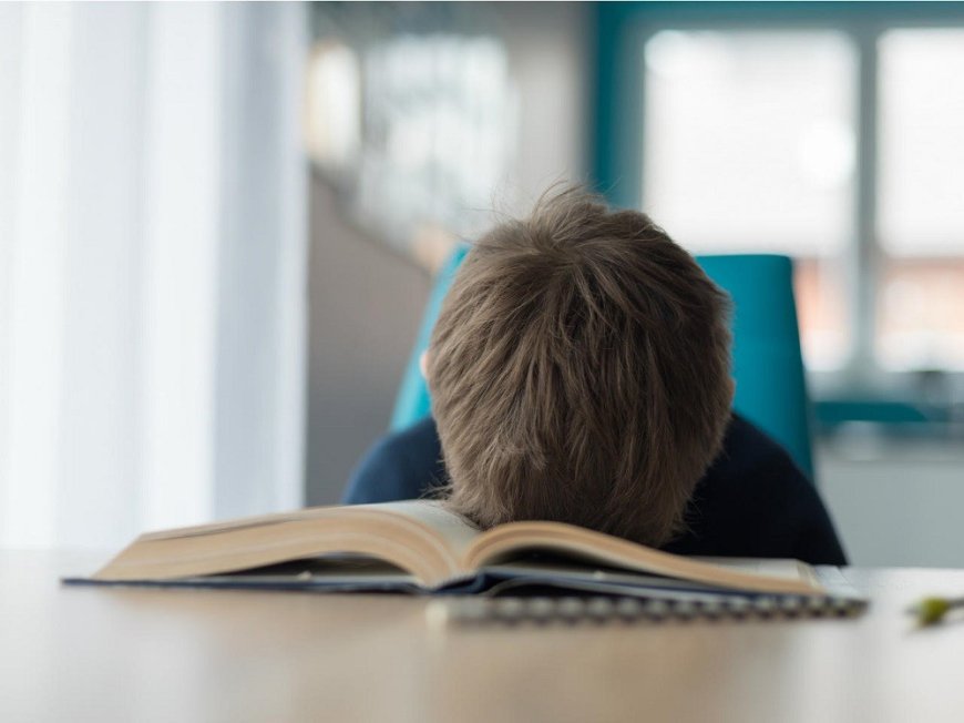 What to do if your child refuses to learn?