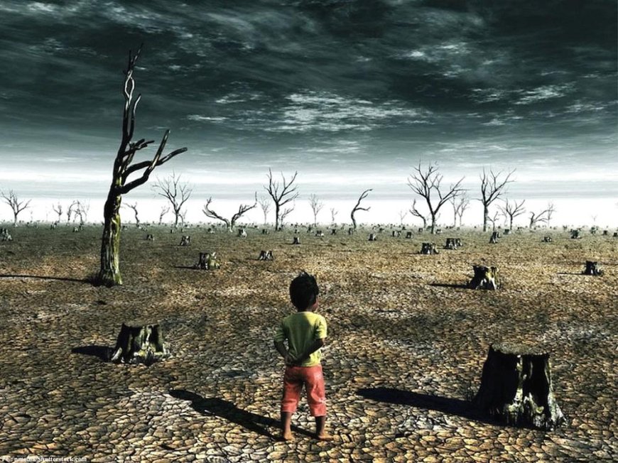 Climate change has been blamed for a third of summer heat deaths