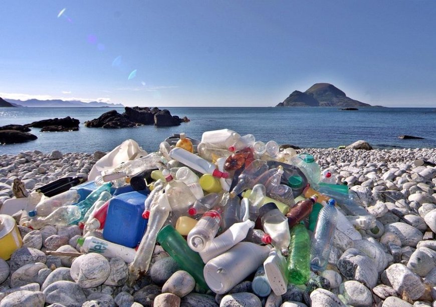 A world without plastic - why we should limit its use