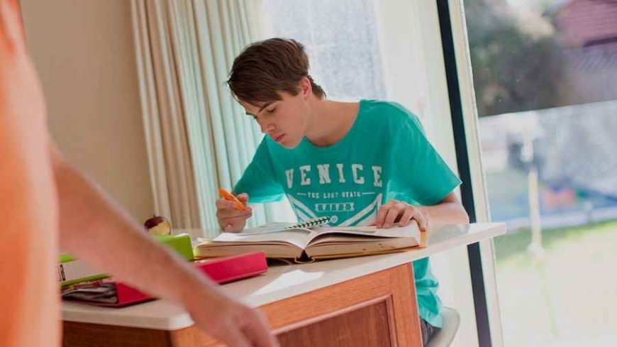 Exploring the Path to Becoming a Licensed Educational Psychologist