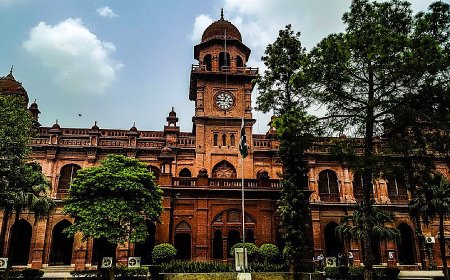 The University of Punjab Gives More Time for Form Submission