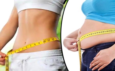 Effective Workout Routines for Weight Loss: From Beginner to Advanced