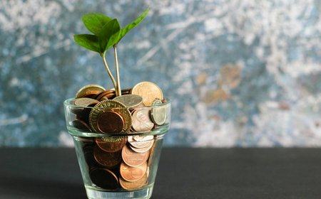 Zero-Based Budgeting vs. the 50/30/20 Rule: Which Method Accelerates Your Net Worth?